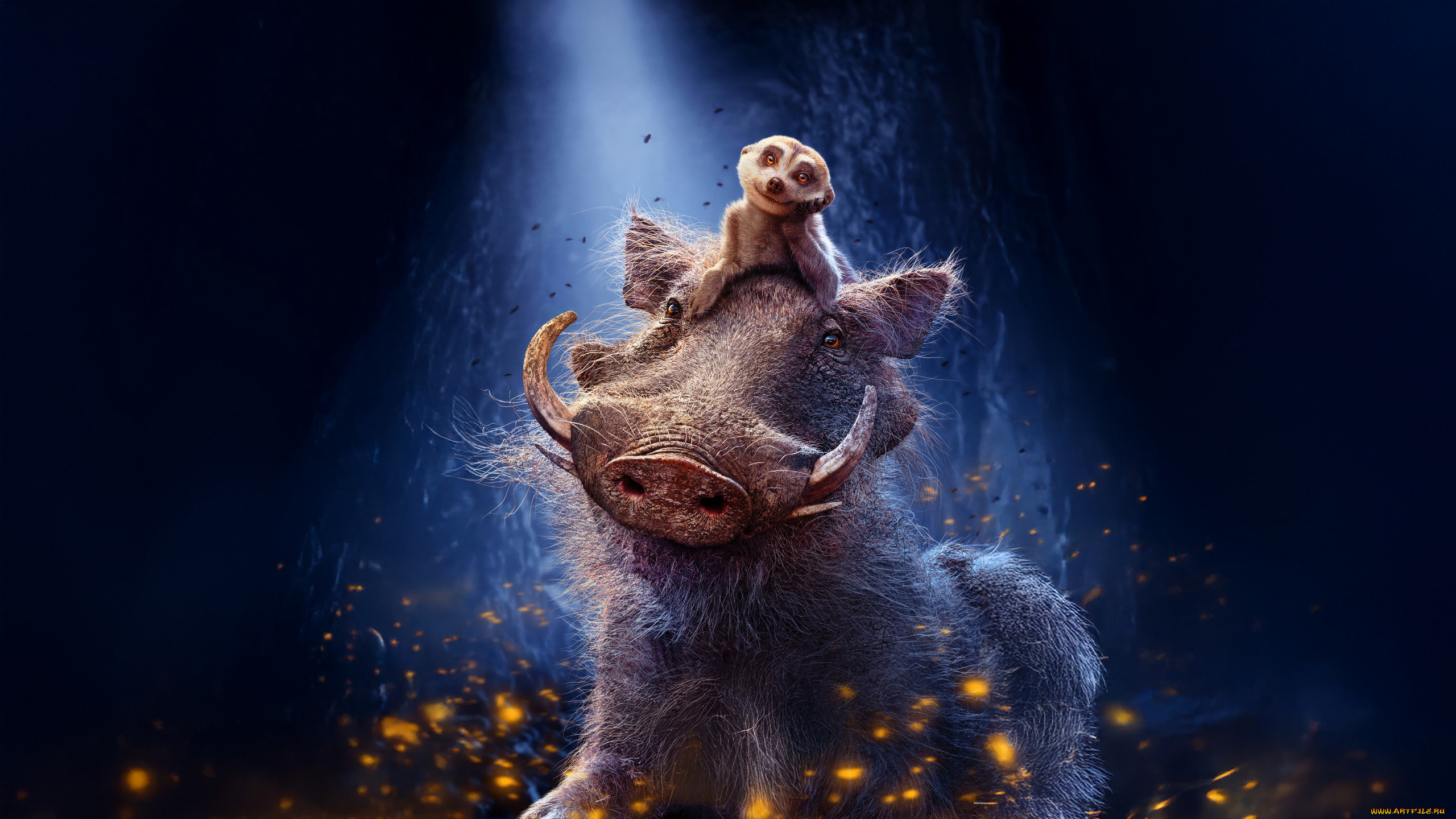 mufasa,  the lion king ,  2024 , ,  the lion king, timon, and, pumbaa, the, lion, king, , oo, e, , , , , disney, oe